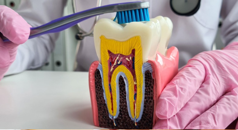 PERIODONCIA